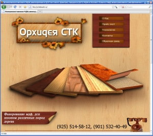 Сайт под ключ для компании orhideastk.ru