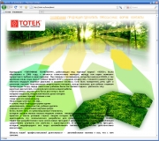Сайт разработан для компании totek.su